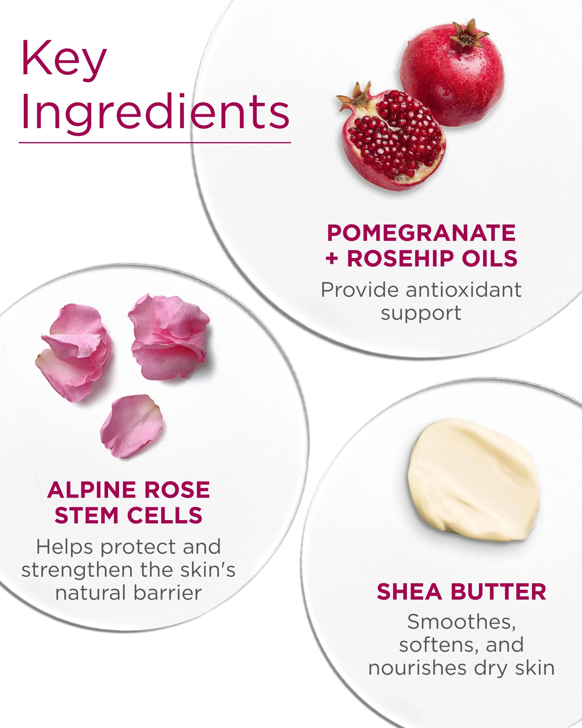 Andalou Naturals Body Lotion - Image 12