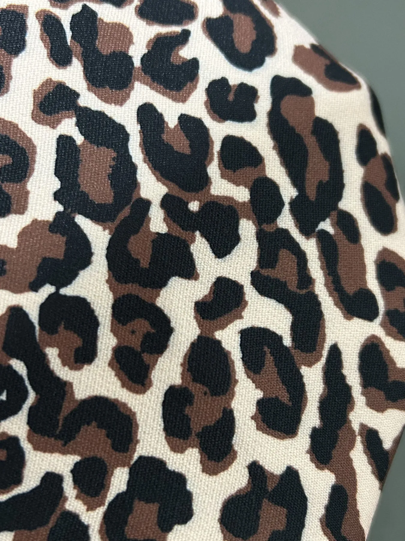 Leopard Print Zip-Up Hoodie - Image 3