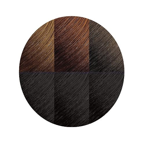 Moisture Rich Liquid Hair Color by Creme of Nature, C10 Jet Black, with Shea Butter Conditioner, 1 Application - Image 2